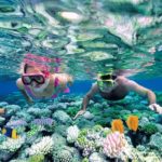 Best Snorkeling & Diving in Phu Quoc Island